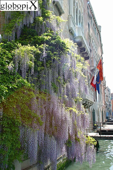 Venezia - Palazzo Foscari e Palazzo Michiel