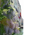 Palazzo Foscari e Palazzo Michiel