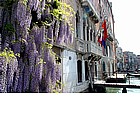 Palazzo Foscari e Palazzo Michiel