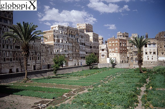 Sana'a