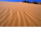 Photo: Sahara Desert