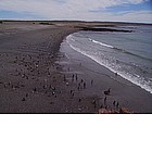 Foto: Pinguini a Punta Tombo