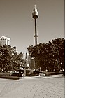 Photo: Sydney Tower