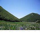 Photo: Parco del Pollino