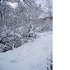 Foto: Neve al Pollino