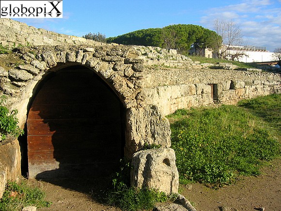 Paestum - Amphitheatre