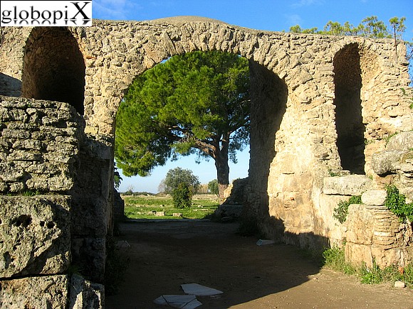 Paestum - Anfiteatro