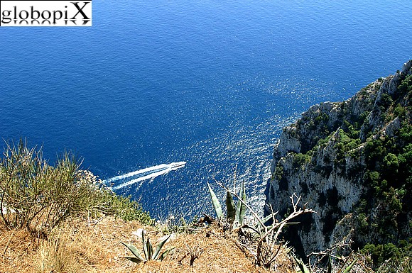 Capri - Capri's sea cliffs