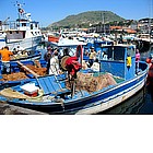 Foto: Il porto di Pozzuoli