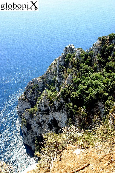 Capri - Scogliera di Capri