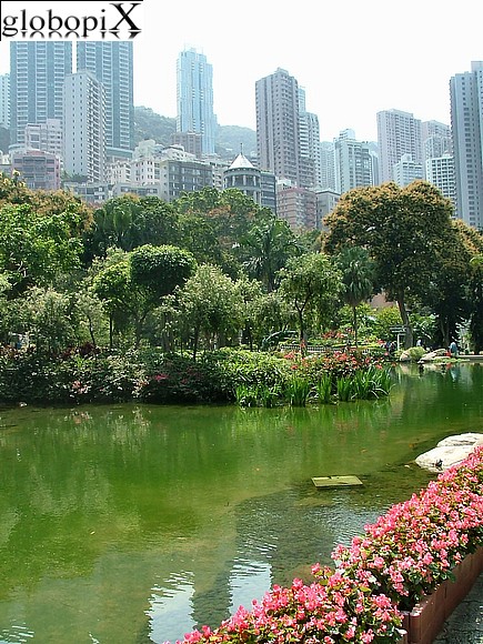 Hong Kong - Hong Kong - Giardino Botanico