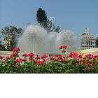 Photo: Hong Kong - Zoo fountain