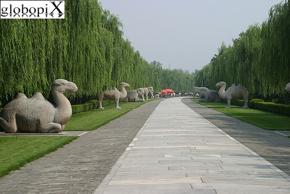 Beijing - Ming Tombs - The Sacred Way