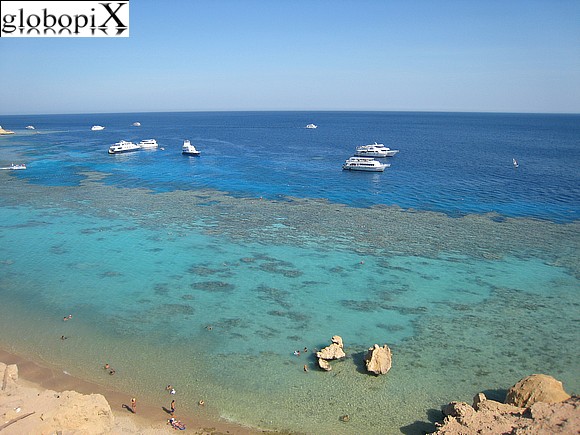 Sharm el-Sheikh - Barriera corallina dell'Hotel Faraana