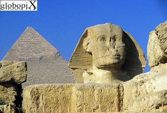 Piramidi e Cairo - La Sfinge