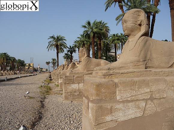 Luxor - Viale delle Sfingi