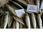 Photo: Antica Pescheria