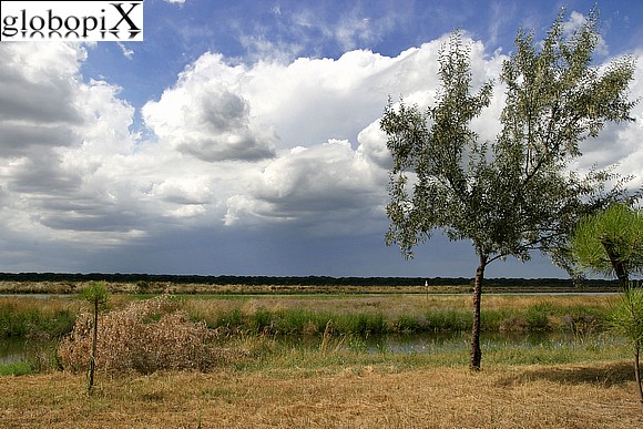 Ravenna - Countryside between Ravenna and Classe
