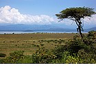 Foto: Etiopia