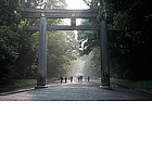 Foto: Torii del santuario Meiji