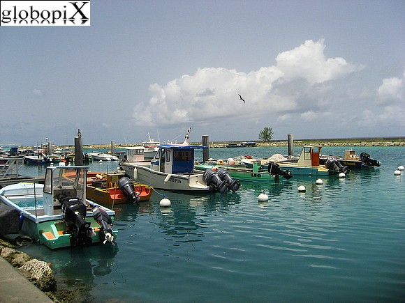 Guadalupa - Saint François Harbour