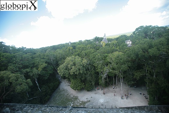Tikal - Foresta pluviale a Tikal