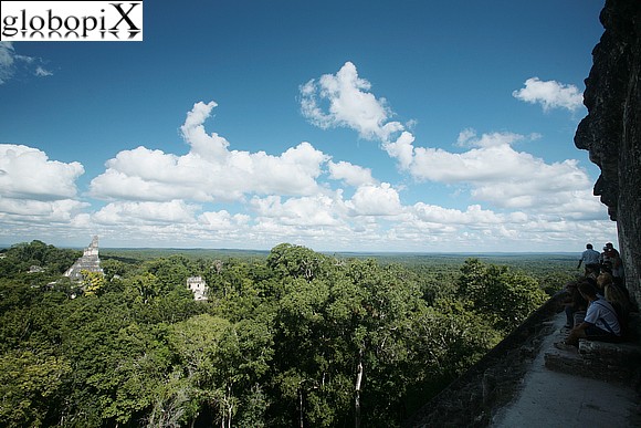 Tikal - Foresta a Tikal