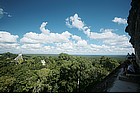 Photo: Foresta a Tikal