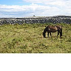 Foto: Inisheer