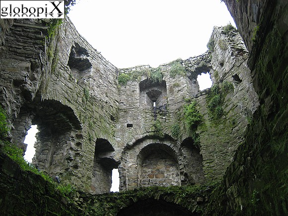 Tour Irlanda - Trim Castle