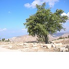 Foto: Alture del Golan