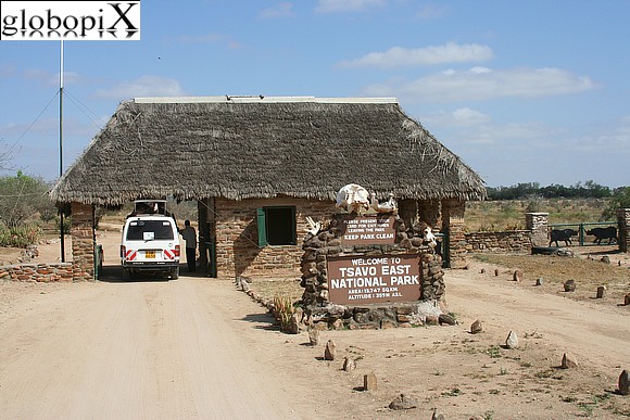 Safari - Tsavo National Park