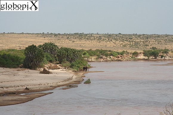 Safari - Tsavo river