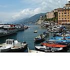 Foto: Marina di Camogli