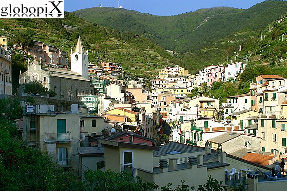 Cinqueterre - Panoramic view of Riomaggiore