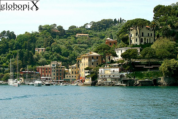 Portofino - Portofino's harbour