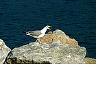 Photo: Portovenere