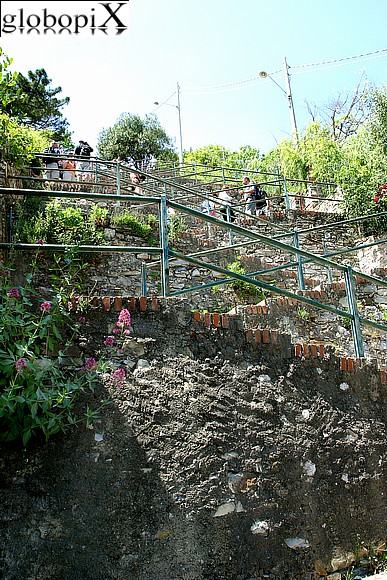 Cinqueterre - Stairway at Corniglia