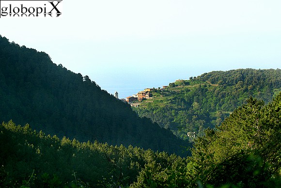 Cinqueterre - Vista dalla strada alta delle Cinque Terre