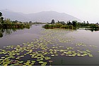 Photo: View from the Nature Reserve