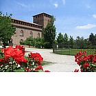 Foto: Roseto nel giardino del Castello Visconteo