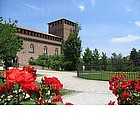 Photo: Rose garden in Castello Visconteos garden