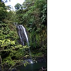 Foto: Cascata nel parco 