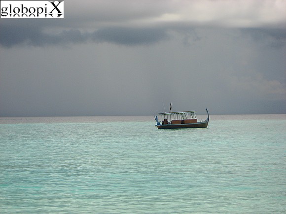 Maafushivaru - Maldive - Maafushivaru