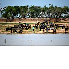 Foto: Stazione di Djenne