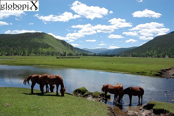 Mongolia - Paesaggio mongolo