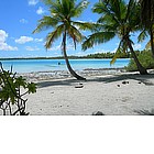 Photo: Spiaggia a Rangiroa