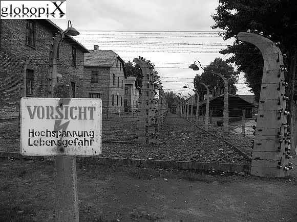 Auschwitz - Auschwitz
