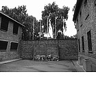 Photo: Muro della morte ad Auschwitz