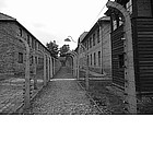 Foto: Filo spinato ad Auschwitz
